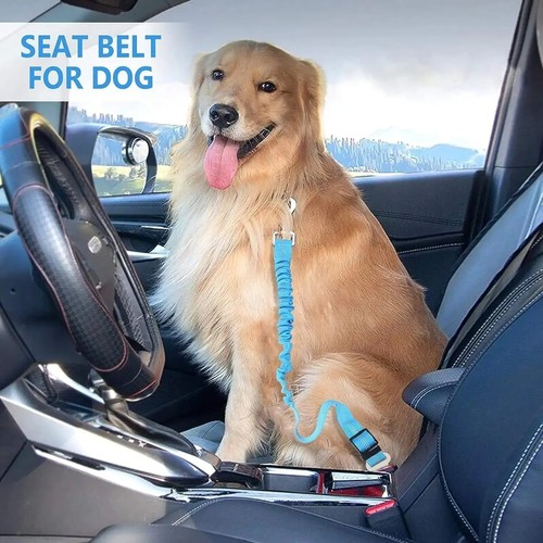 Dog car seat - car, long