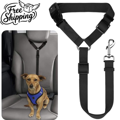 Anti shock dog seat belt - shock,