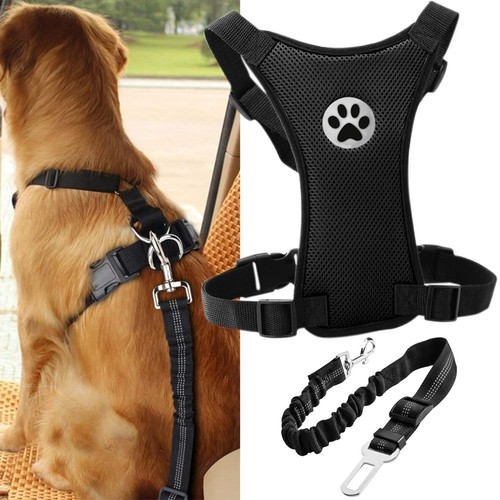 Dog car harness seatbelt set - car,