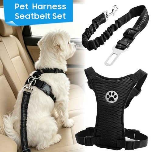 Dog car harness - dog, seatbelt