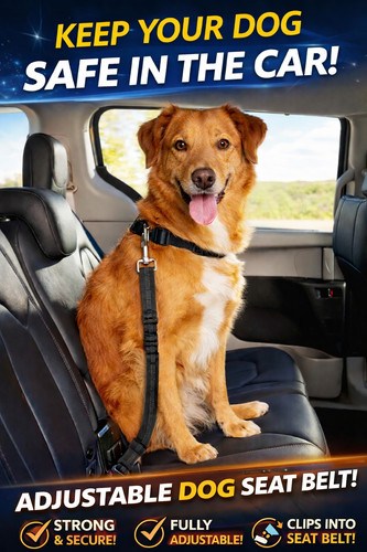 2pcs anti shock - pet, car