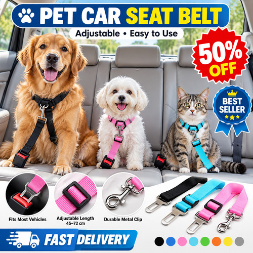 Pet dog seat - pet, belt