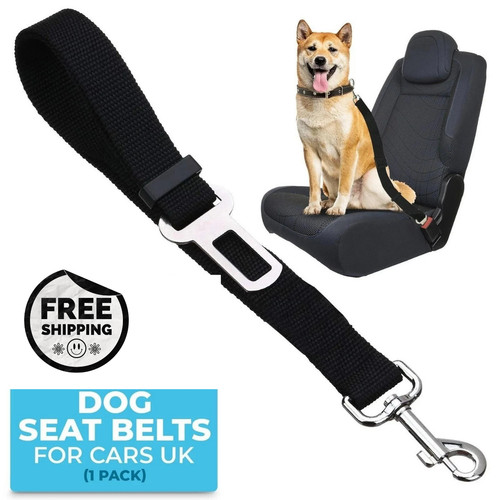 Pet dog seat - belt, adjustable