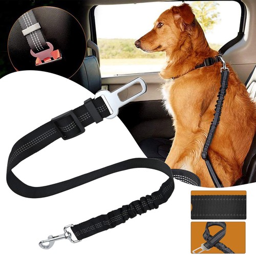 Dog seat belt adjustable - dog,