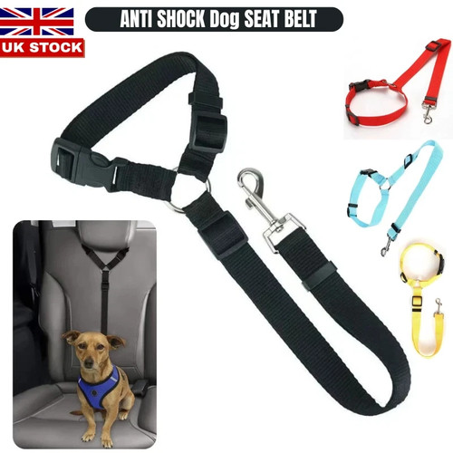 Anti shock dog - anti,