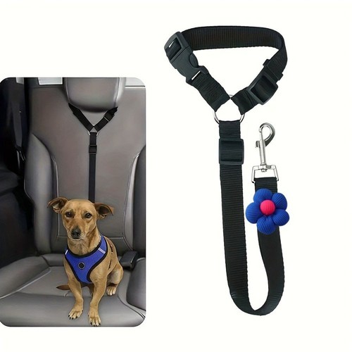Dog cat safety - belt, strap