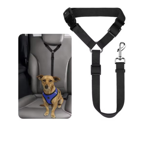 Headrest pet dog - dog, shock