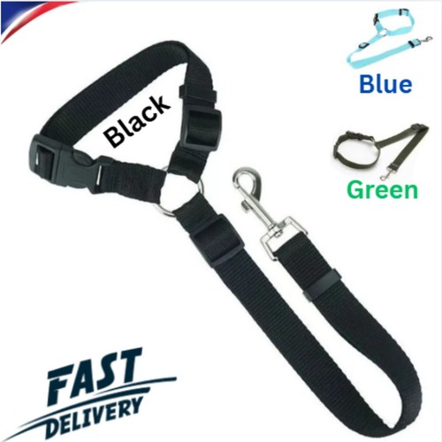 Pet dog seat - seat, belt