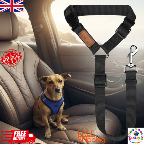 Adjustable dog car seat belt - dog,