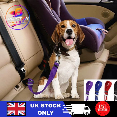 Pet car seat belt - pet,
