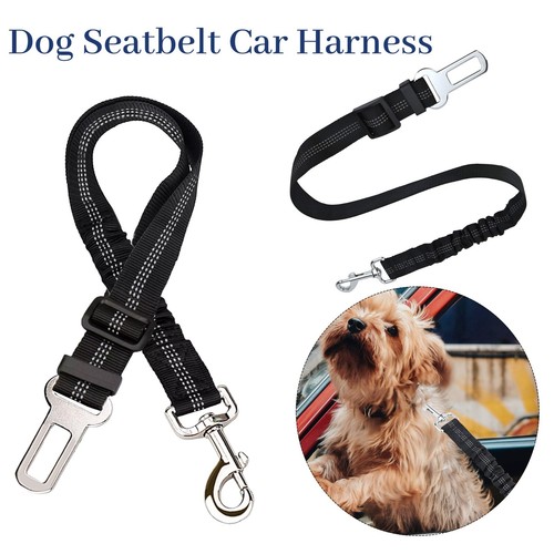 2pcs anti shock pet - pet, car