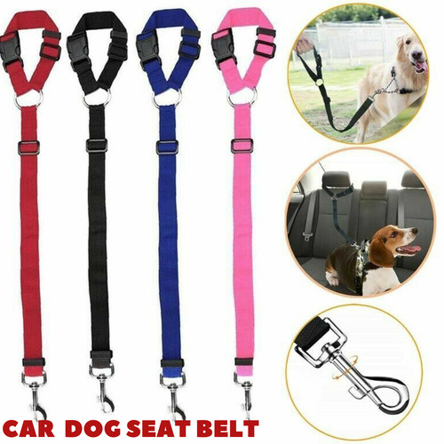 Pet dog headrest anti - dog,