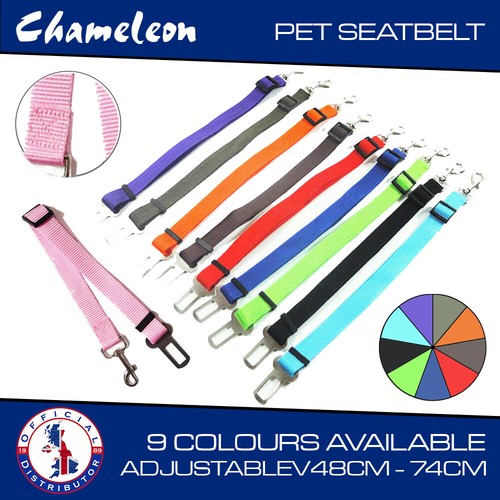 Dog car seat - seat, belt