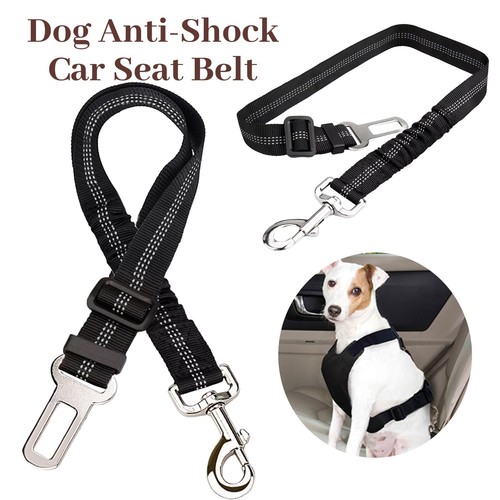 Anti shock dog - shock,