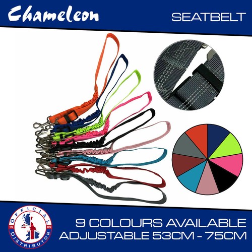 Pet car seat belt dog - car,