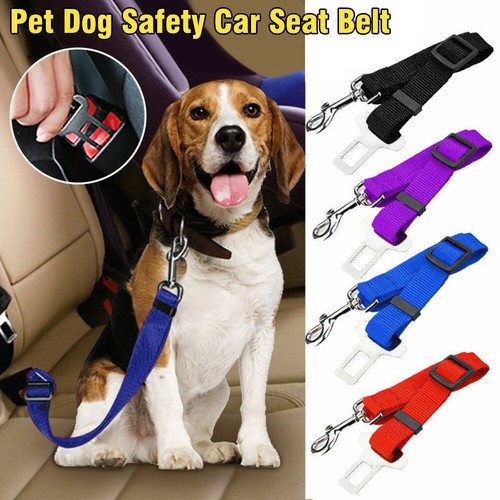 Dog pet safety seat - dog,