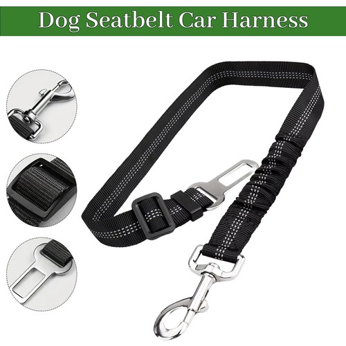 Anti shock dog - anti-shock, for