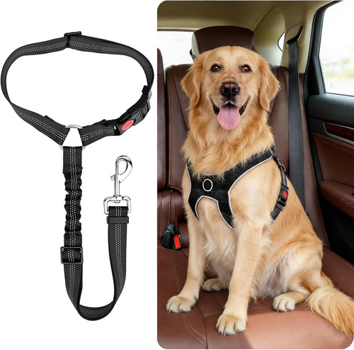Dog seat belts for - seat, cars,