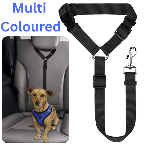 Anti shock dog - anti,