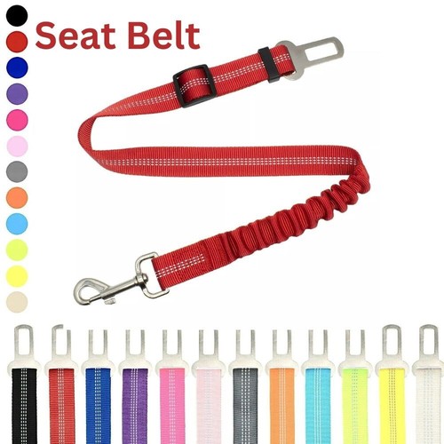 Pet dog car - car, belt
