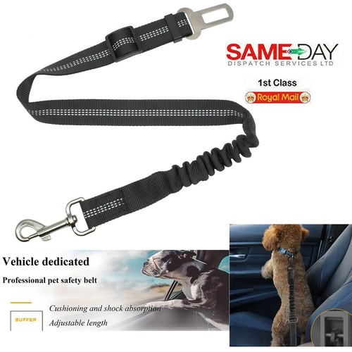 Car safety seat - seat, belt
