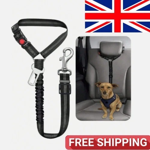 Anti shock dog seat - shock, car