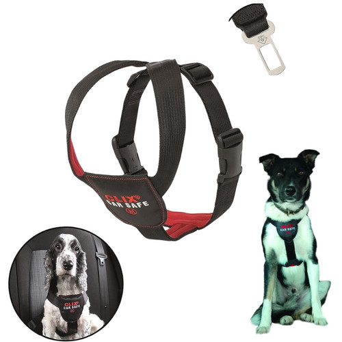 Dog car safety - car, m