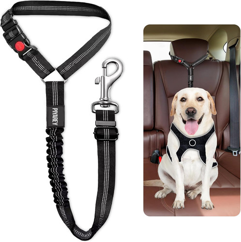 Dog seat belts for cars - dog,