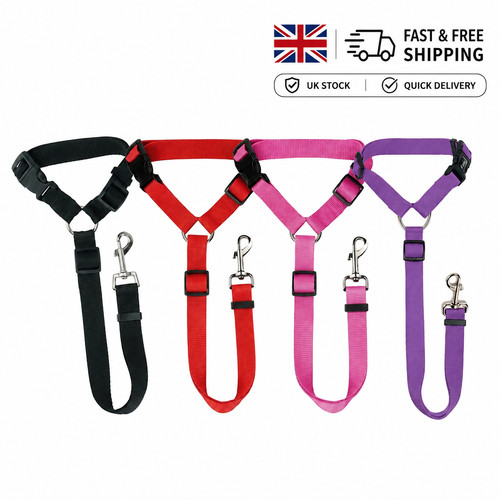 Dog seat belt - seat, adjustable