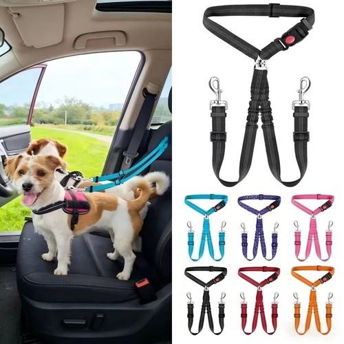 Double headed dog - seat, belt
