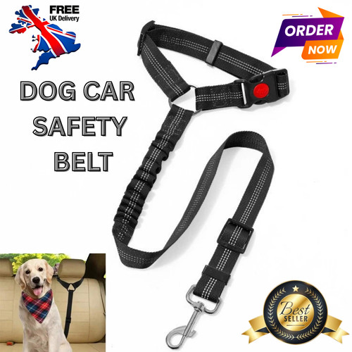 Anti shock dog seat belt - seat, pet