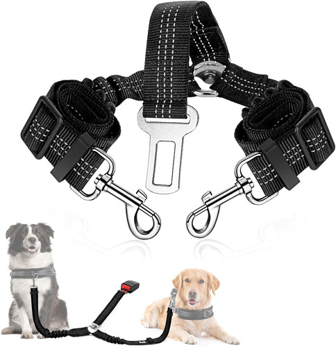 Double dog seat belt - seat,