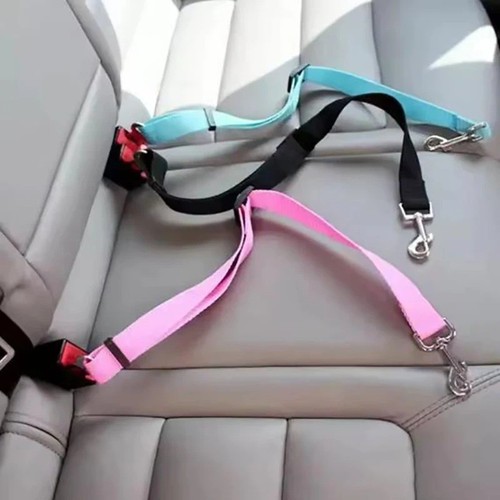 Pet dog seat - pet, belt