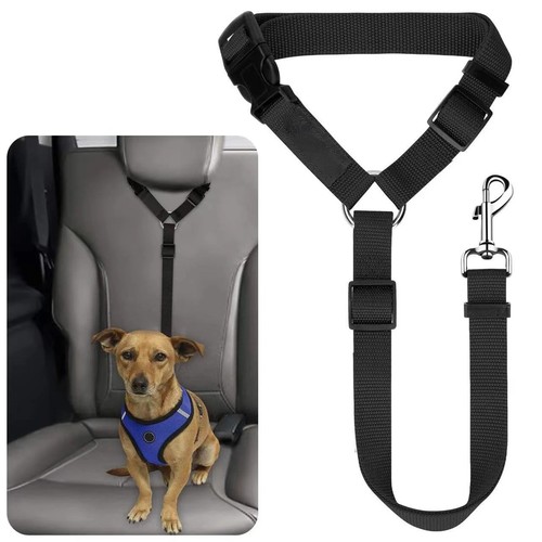 Anti shock dog - anti, seat