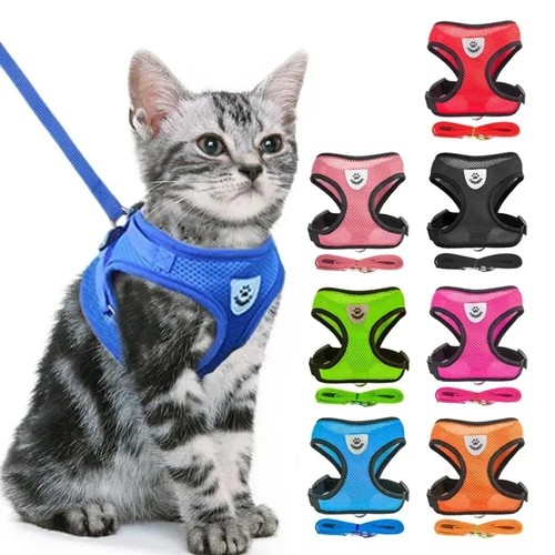 Dog car harness - car, seatbelt