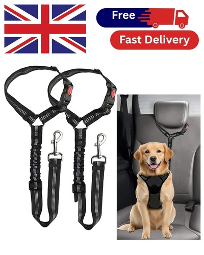 Pack dog car headrest - car, seat