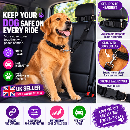 Anti shock dog - shock, belt
