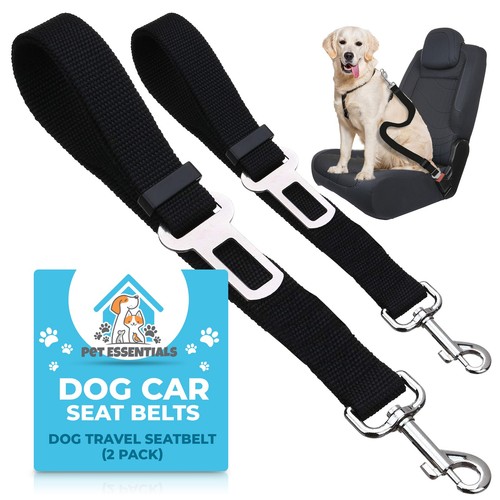 2pk pet dog - dog, belt