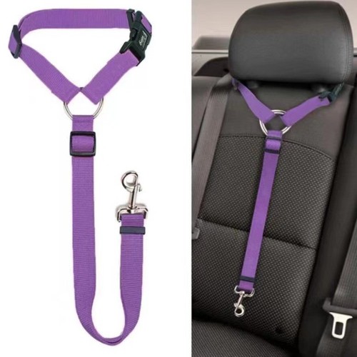 Pet car seat belt - car,