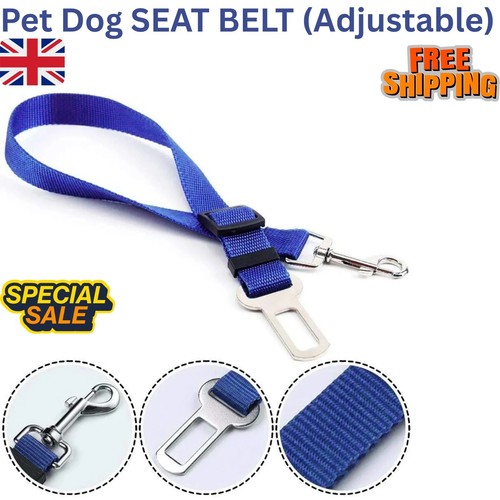 Adjustable dog seat - dog, car
