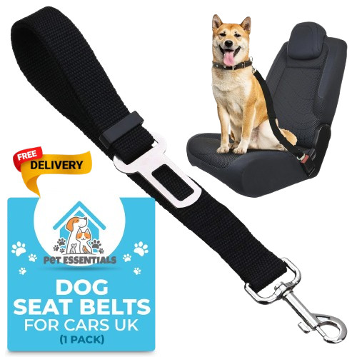 Heavy duty pet dog car - heavy,