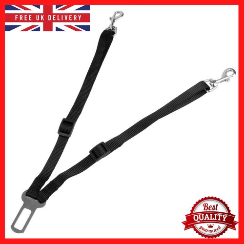 Double dog car seat belt - double, twin