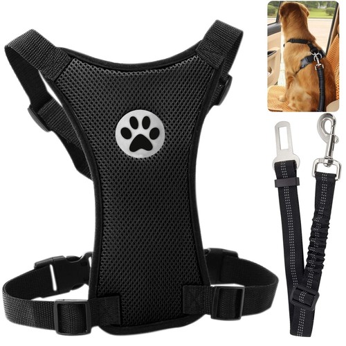 Dog car harness - dog,