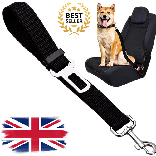 Adjustable pet car - pet, belt
